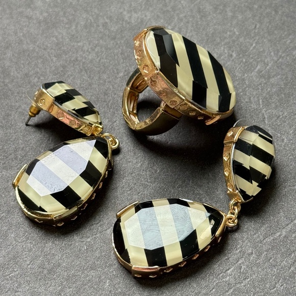 Set of Designer Striped Lucite Dangle Earrings and Stretch Ring Ivory Black (8)